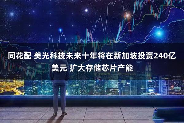 同花配 美光科技未来十年将在新加坡投资240亿美元 扩大存储芯片产能